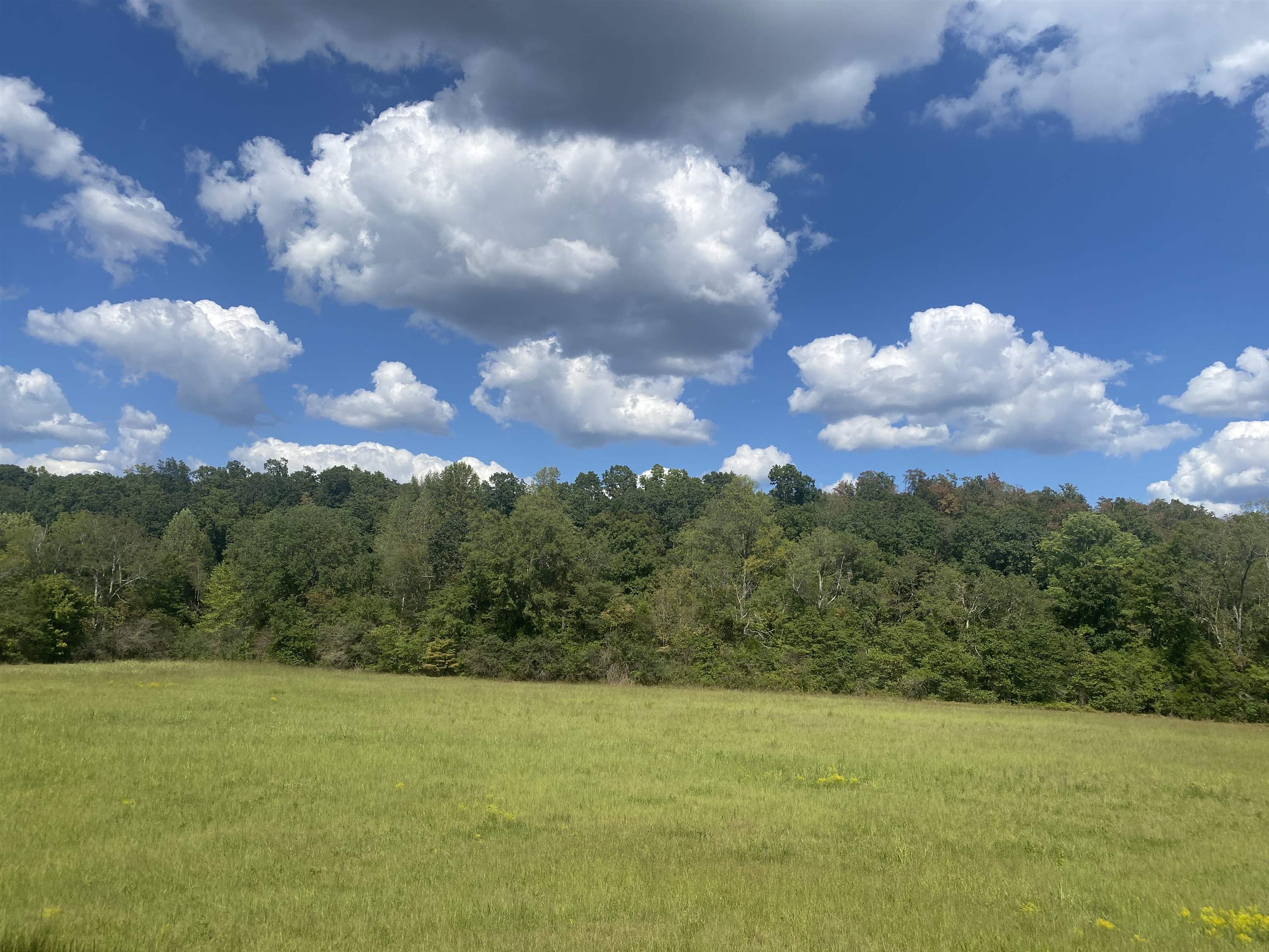 1 Simmons Branch Road Waynesboro, TN 38485 - Photo 13 of 29 a view of a city