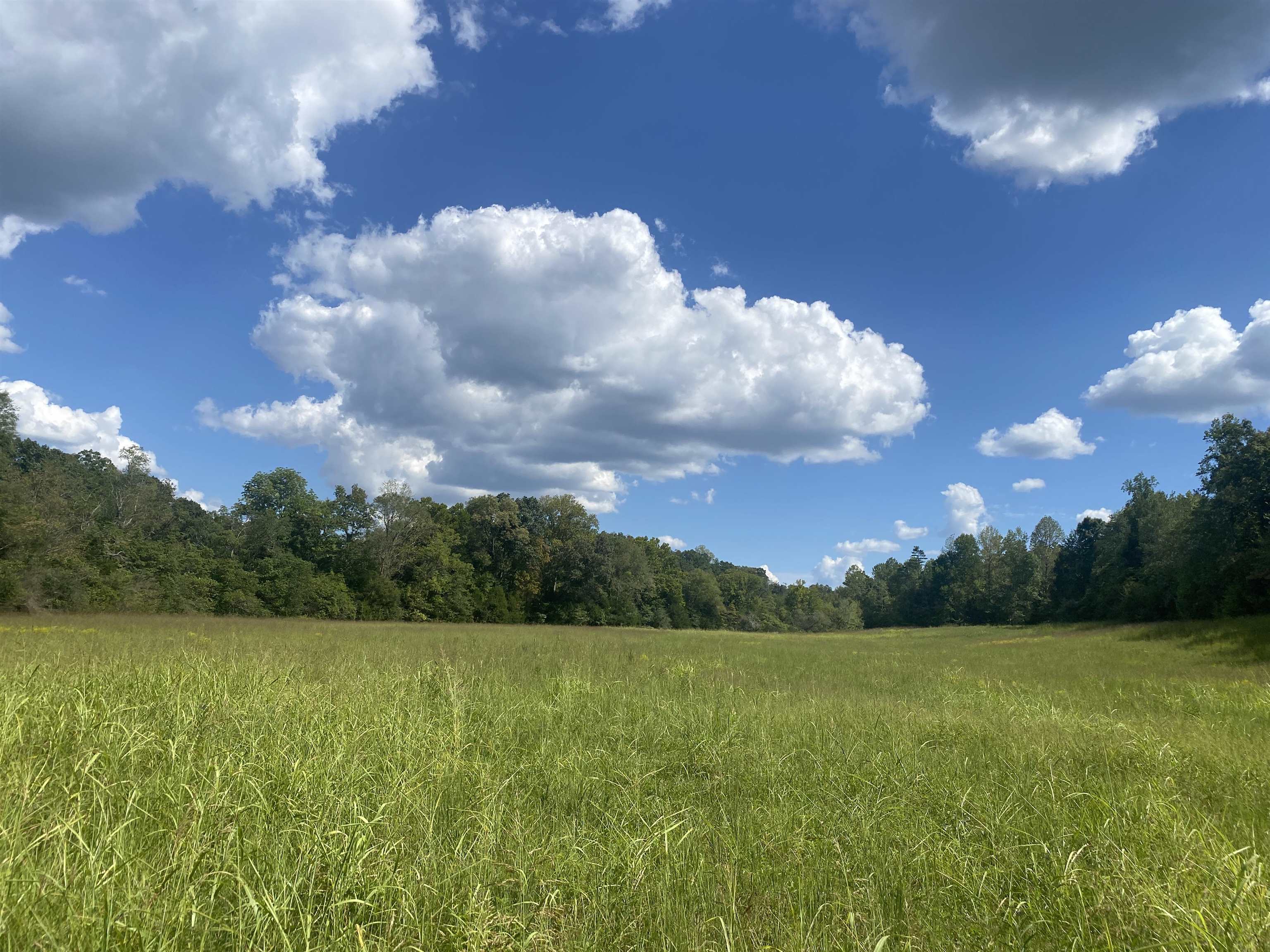 1 Simmons Branch Road Waynesboro, TN 38485 - Photo 15 of 29 a view of lake and mountain