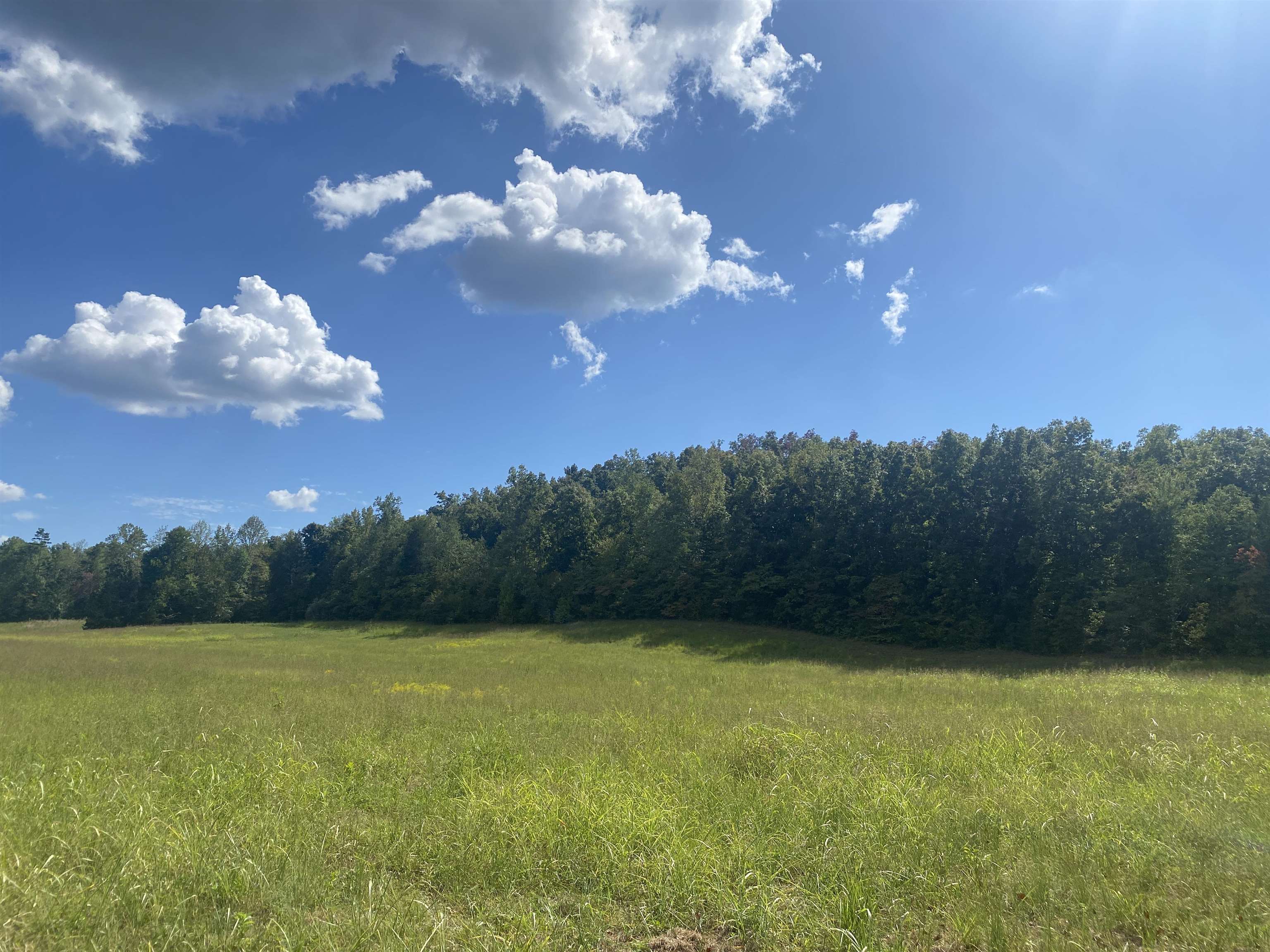 1 Simmons Branch Road Waynesboro, TN 38485 - Photo 17 of 29 a view of a big yard with a house in back