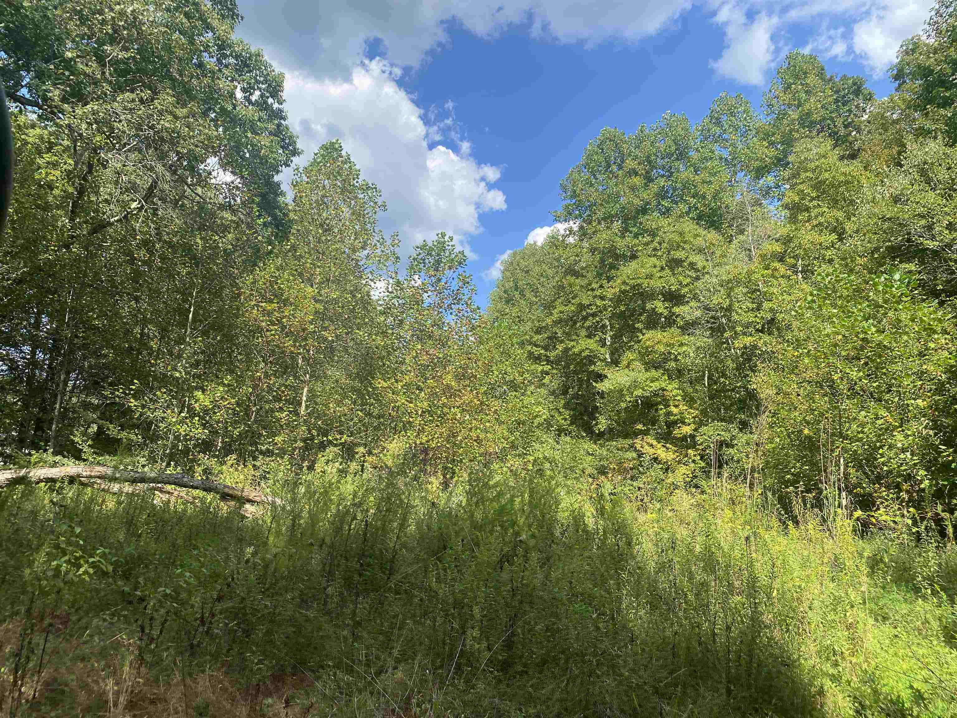 1 Simmons Branch Road Waynesboro, TN 38485 - Photo 20 of 29 a view of a yard