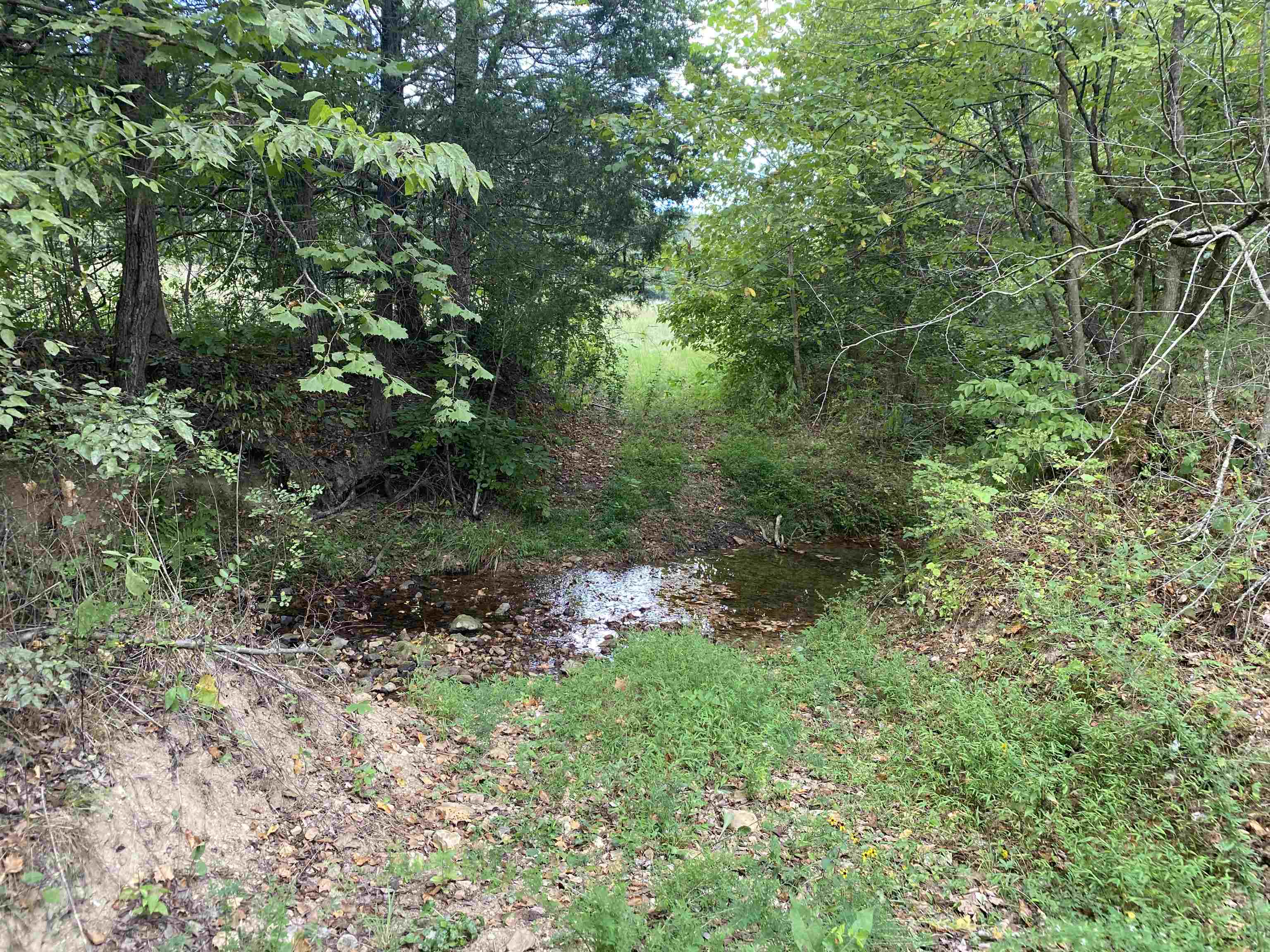 1 Simmons Branch Road Waynesboro, TN 38485 - Photo 22 of 29 a big yard with lots of green space and deers