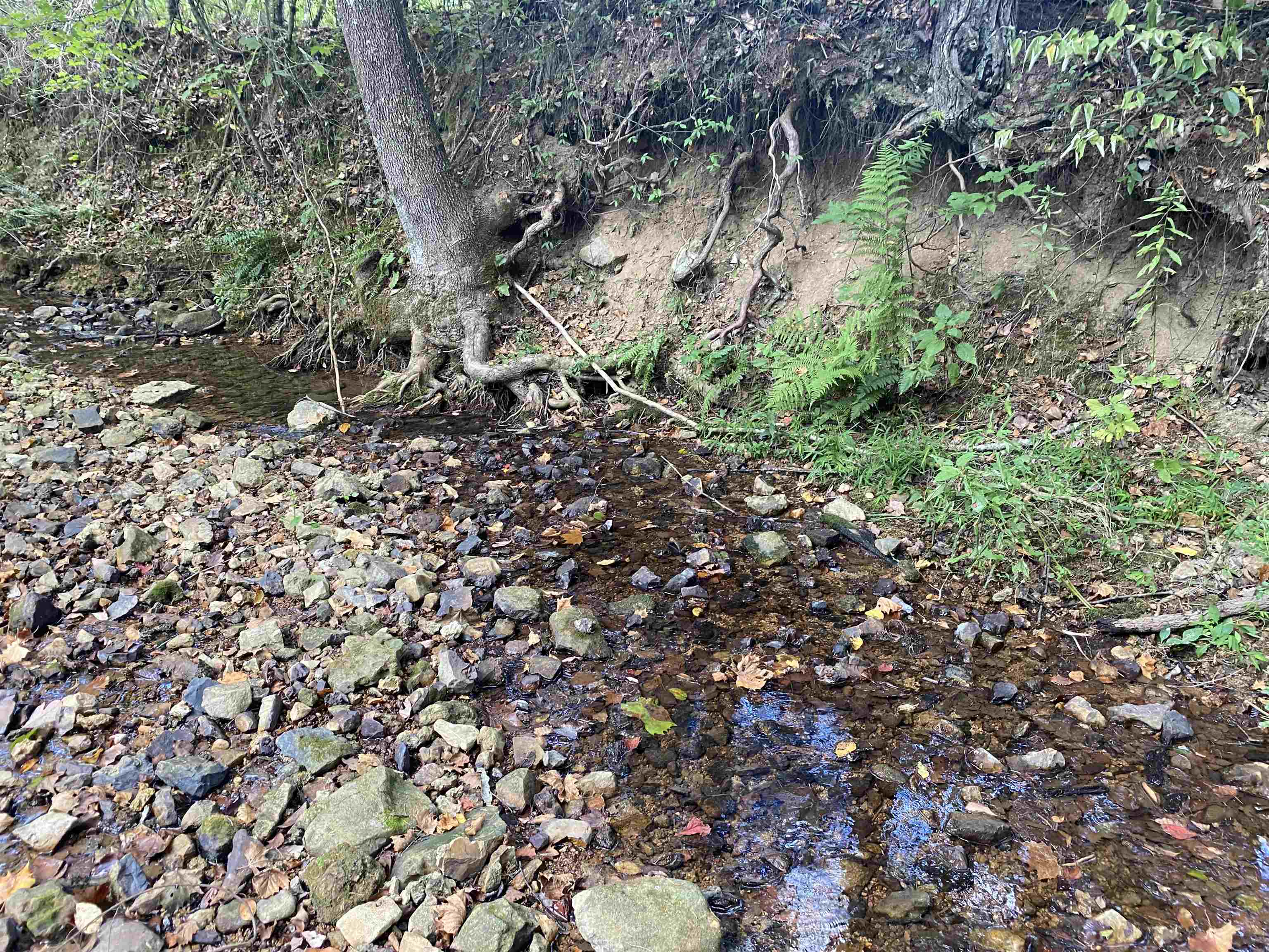 1 Simmons Branch Road Waynesboro, TN 38485 - Photo 23 of 29 a backyard of a house with lots of green space