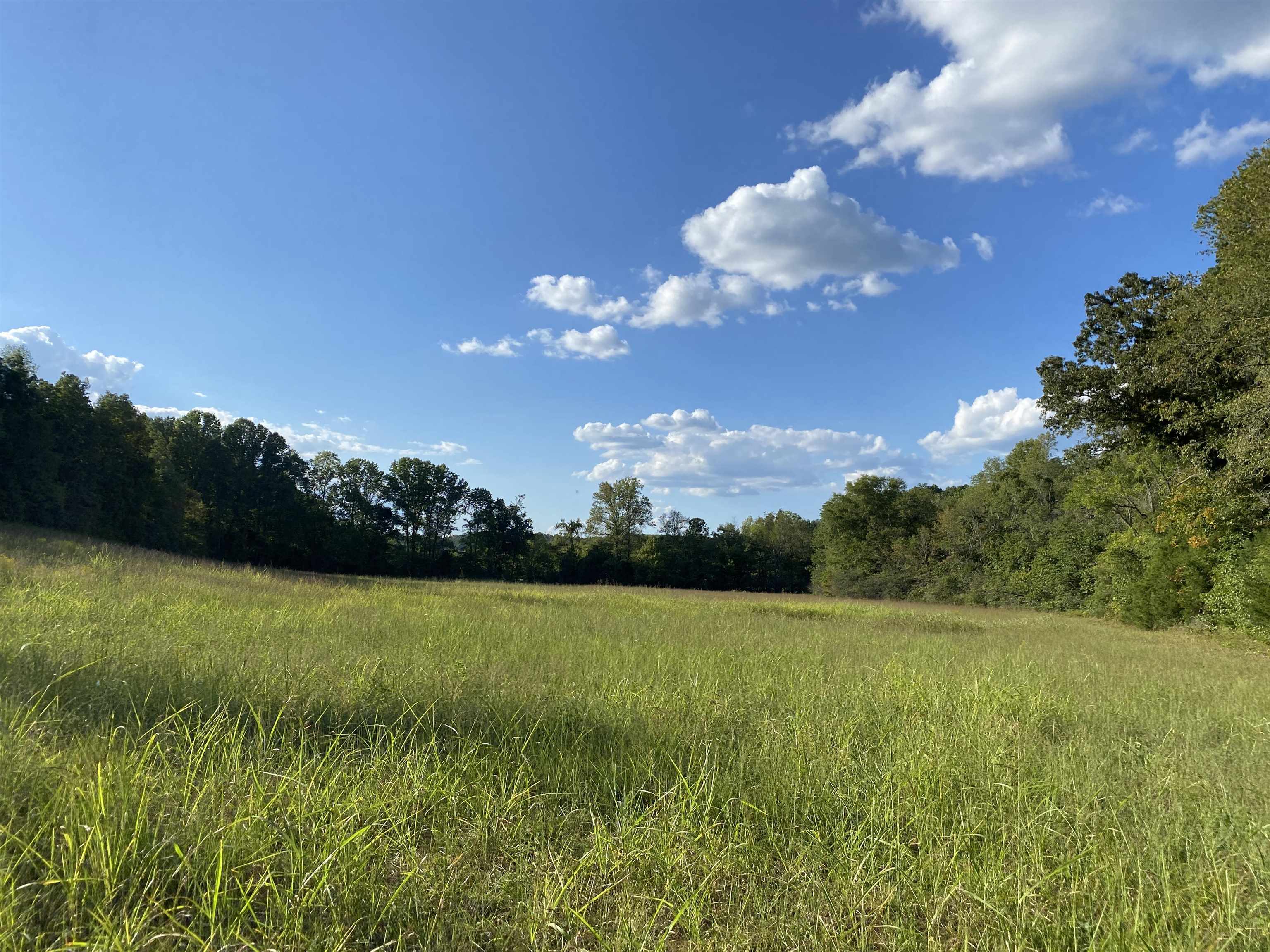 1 Simmons Branch Road Waynesboro, TN 38485 - Photo 24 of 29 a view of a lake