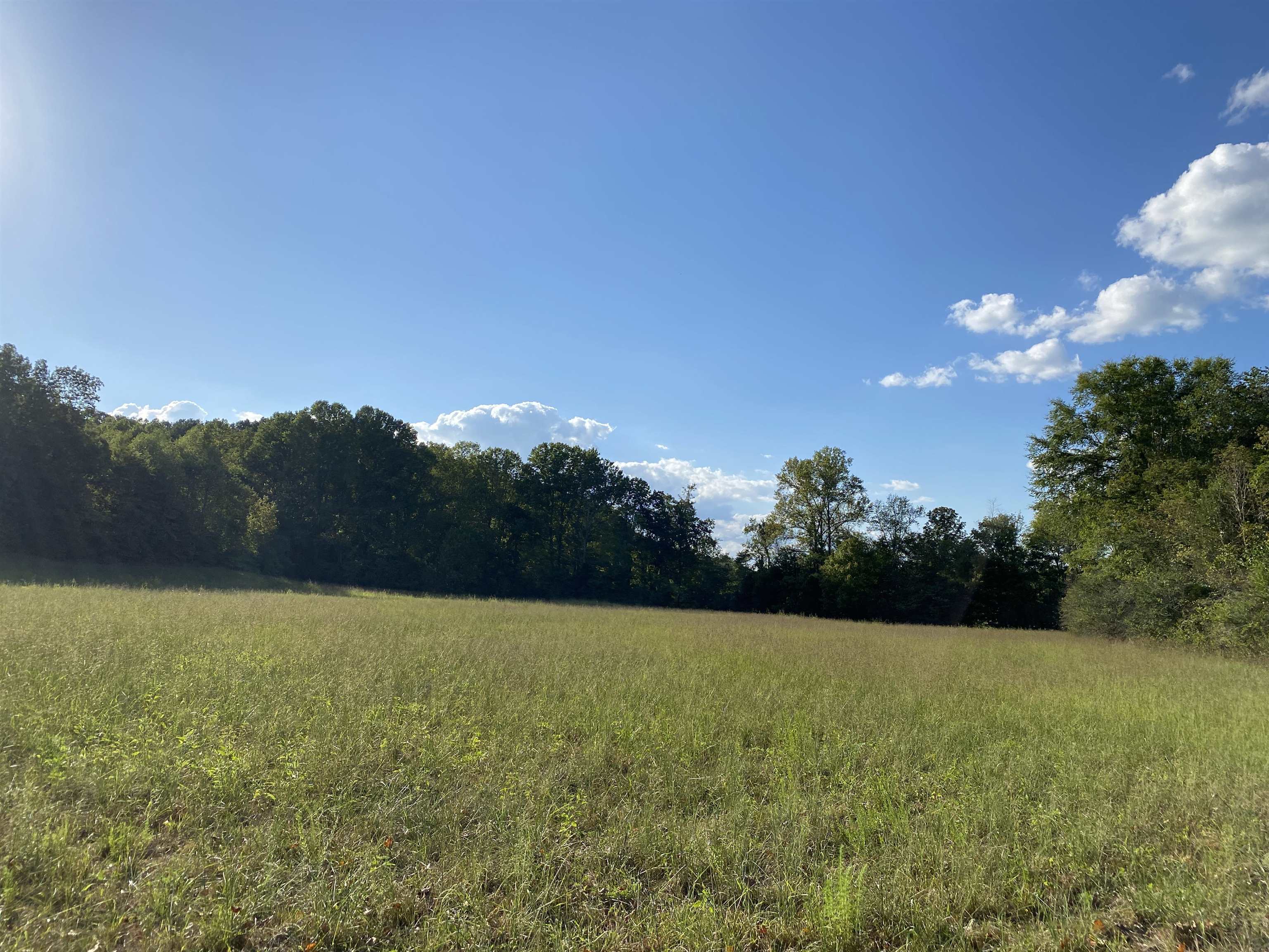 1 Simmons Branch Road Waynesboro, TN 38485 - Photo 25 of 29