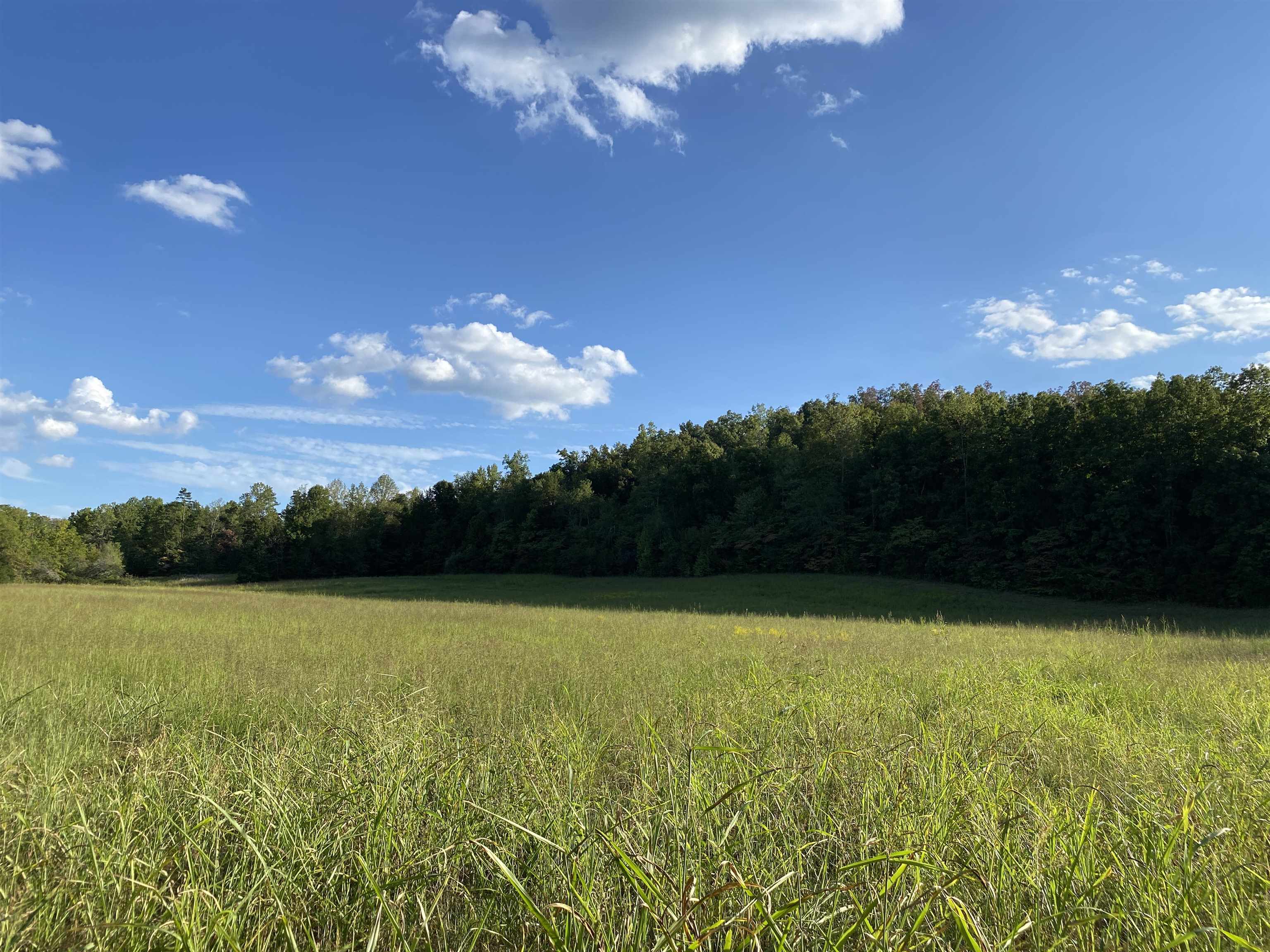 1 Simmons Branch Road Waynesboro, TN 38485 - Photo 26 of 29 a view of a lake and green valley