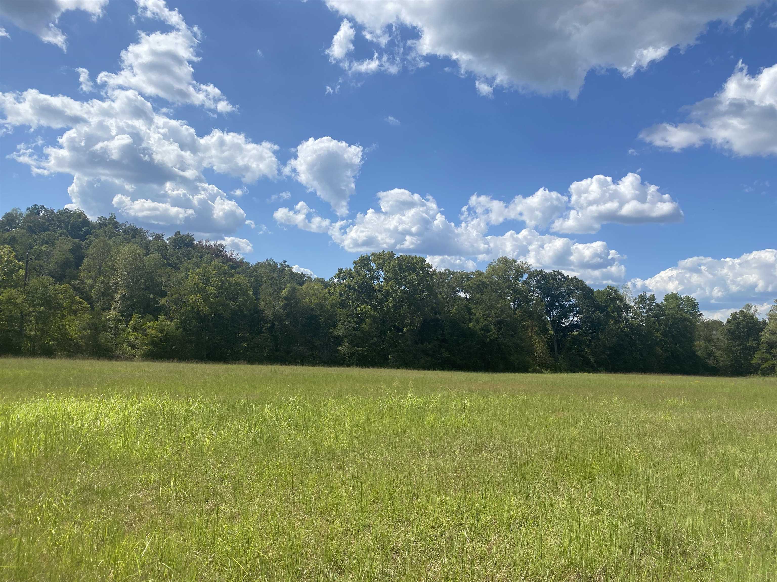 1 Simmons Branch Road Waynesboro, TN 38485 - Photo 4 of 29 a view of a lake