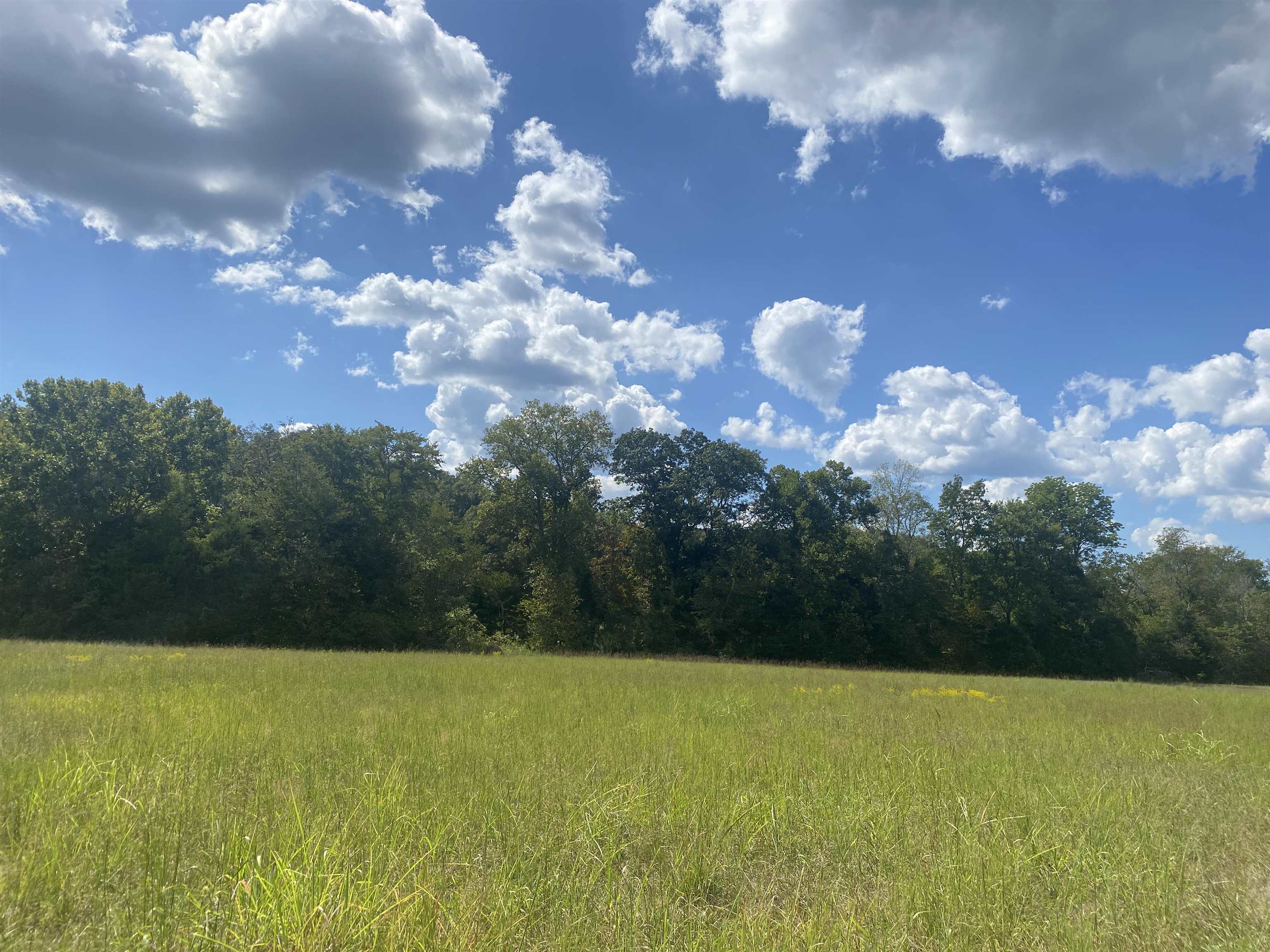 1 Simmons Branch Road Waynesboro, TN 38485 - Photo 5 of 29