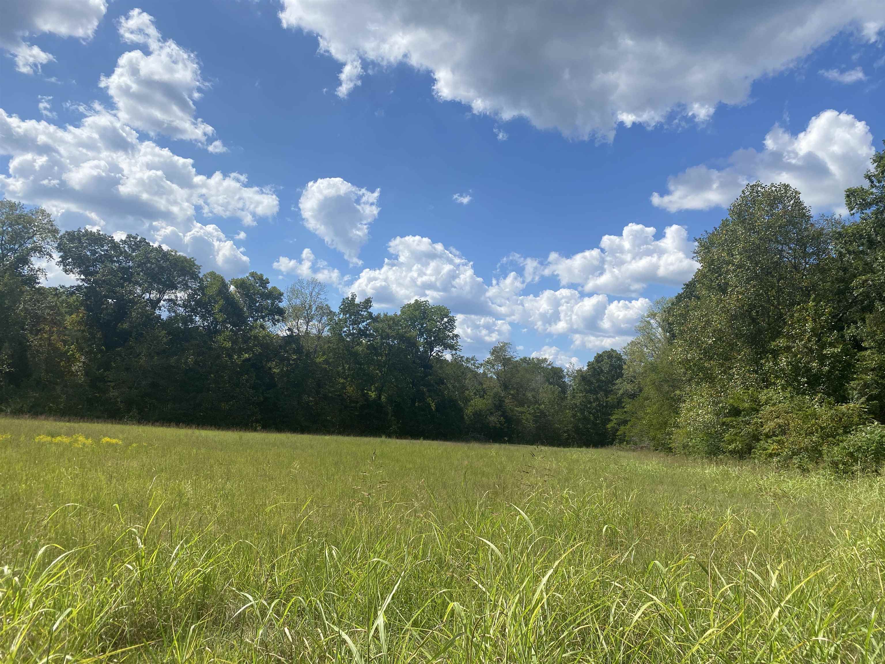 1 Simmons Branch Road Waynesboro, TN 38485 - Photo 6 of 29 a view of a big yard with swimming pool and green space