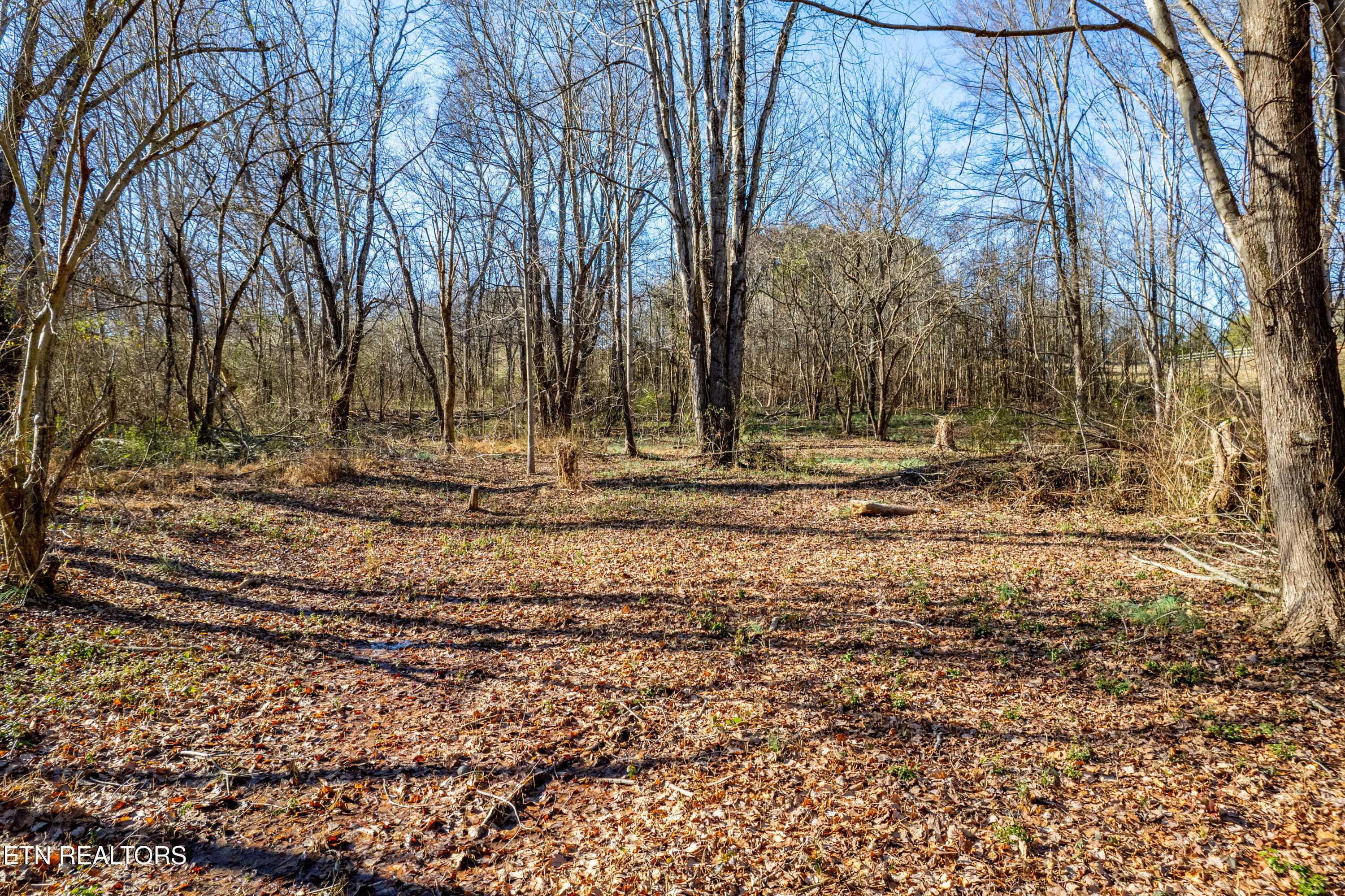 3045 Montvale Road Maryville, TN 37803 - Photo 7 of 23 3405MontvaleRd-9