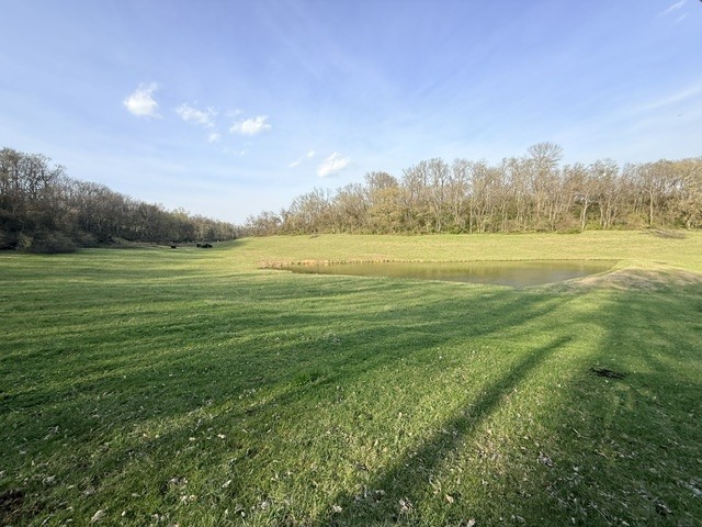 2200 Sugar Ridge Road Spring Hill, TN 37174 - Photo 4 of 9