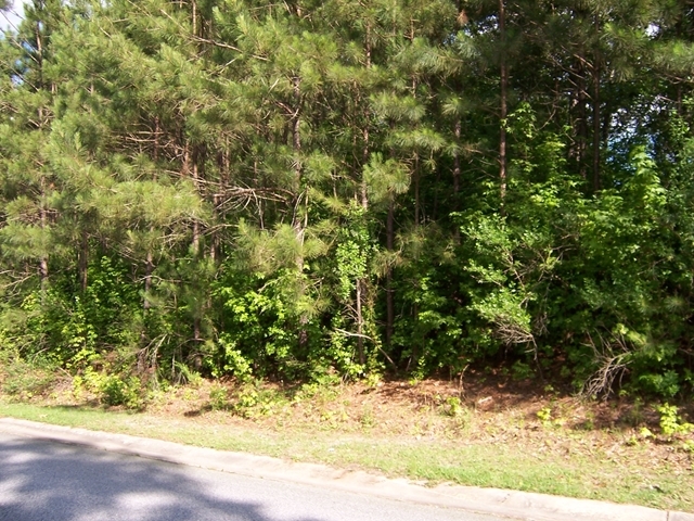 8810 Columbus Road Macon, GA 31052 - Photo 2 of 3 Additional Photo