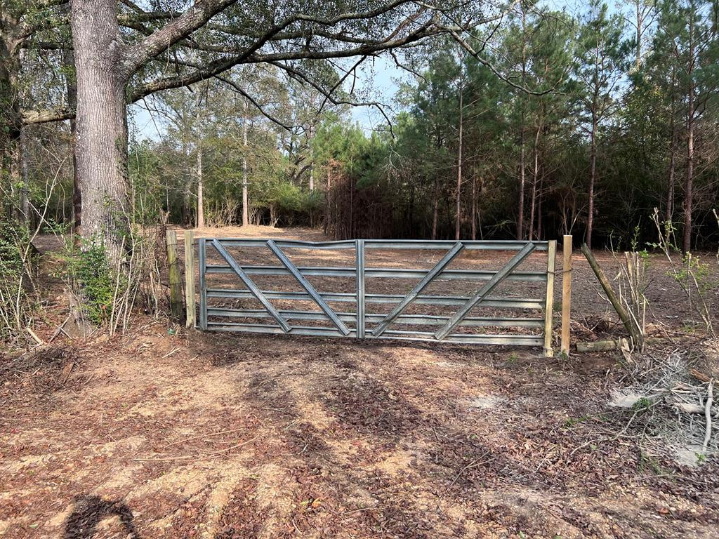 Tbd Possum Trot Road Tylertown, MS 39667 - Photo 1 of 12 Main View