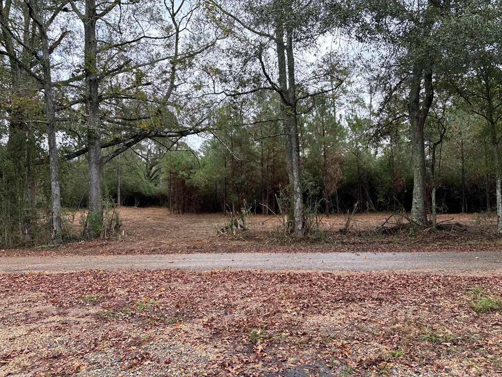 Tbd Possum Trot Road Tylertown, MS 39667 - Photo 11 of 12 Photo 11