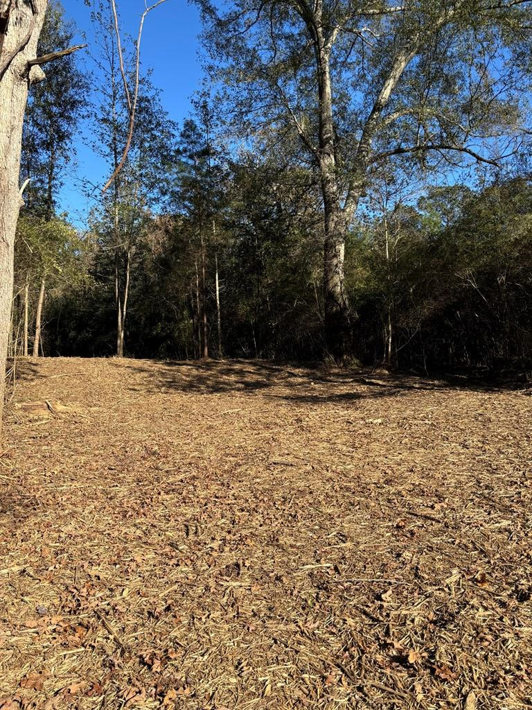 Tbd Possum Trot Road Tylertown, MS 39667 - Photo 2 of 12 Photo 2