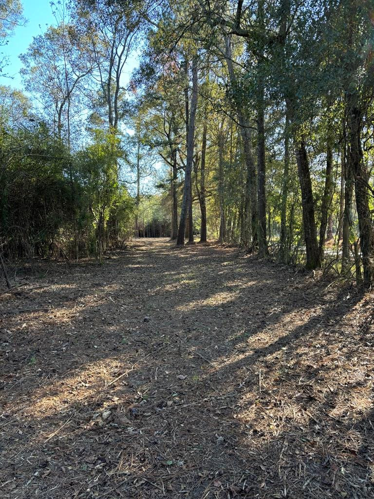Tbd Possum Trot Road Tylertown, MS 39667 - Photo 3 of 12 Photo 3