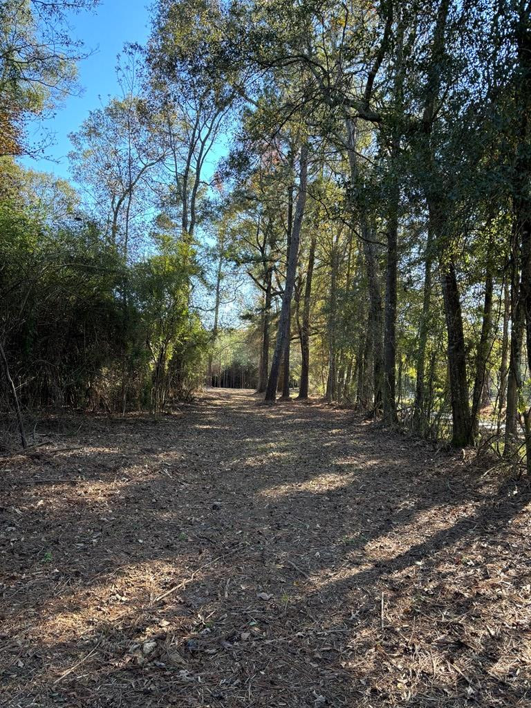 Tbd Possum Trot Road Tylertown, MS 39667 - Photo 5 of 12 Photo 5
