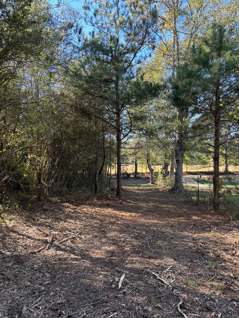 Tbd Possum Trot Road Tylertown, MS 39667 - Photo 6 of 12 Photo 6