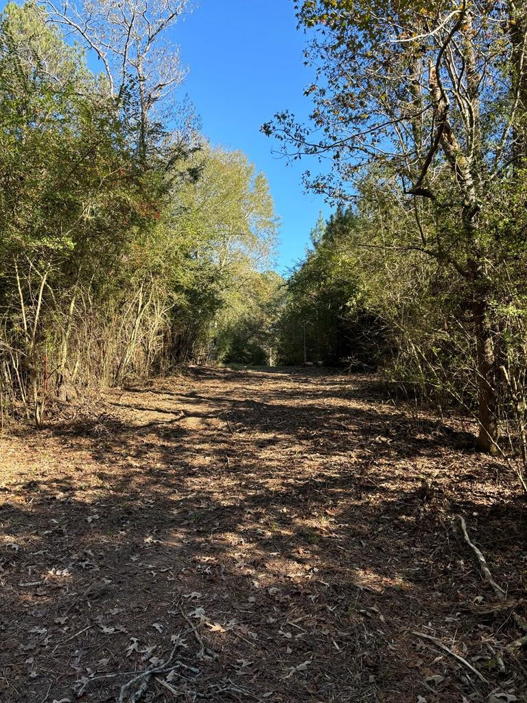 Tbd Possum Trot Road Tylertown, MS 39667 - Photo 9 of 12 Photo 9