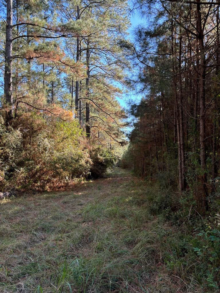 Tbd Possum Trot Road Tylertown, MS 39667 - Photo 10 of 12 Photo 10