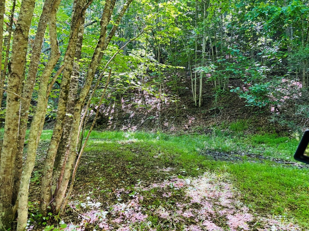 Tbd Pleasantview Road, Unit 72 Austinville, VA 24312 - Photo 45 of 63 Gallery Image 45