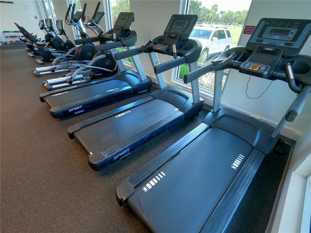 1100 South Belcher Road, Unit 130 Largo, FL 33771 - Photo 45 of 56