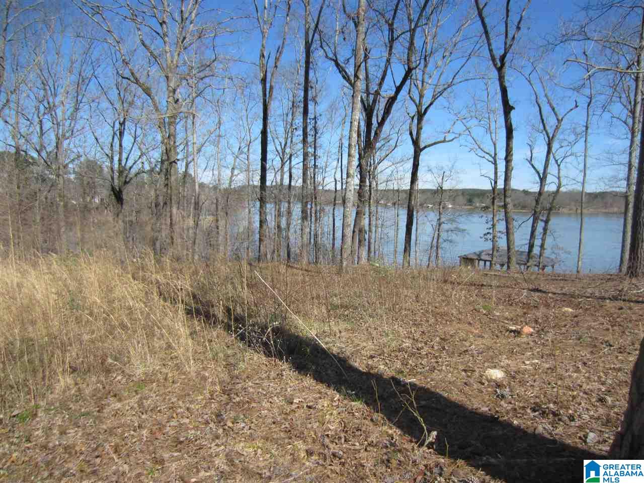 0 Timber Trail, Unit 28 Sylacauga, AL 35151 - Photo 7 of 22
