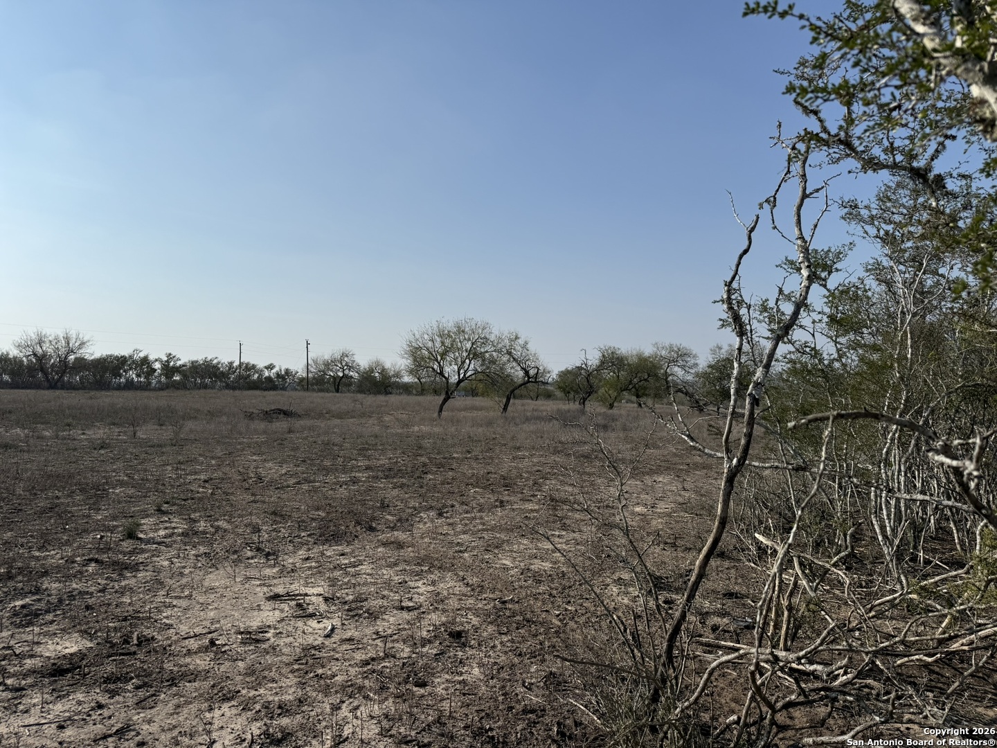 1331 Highway 281 George West, TX 78022 - Photo 14 of 14 a view of a dry field with trees in the background