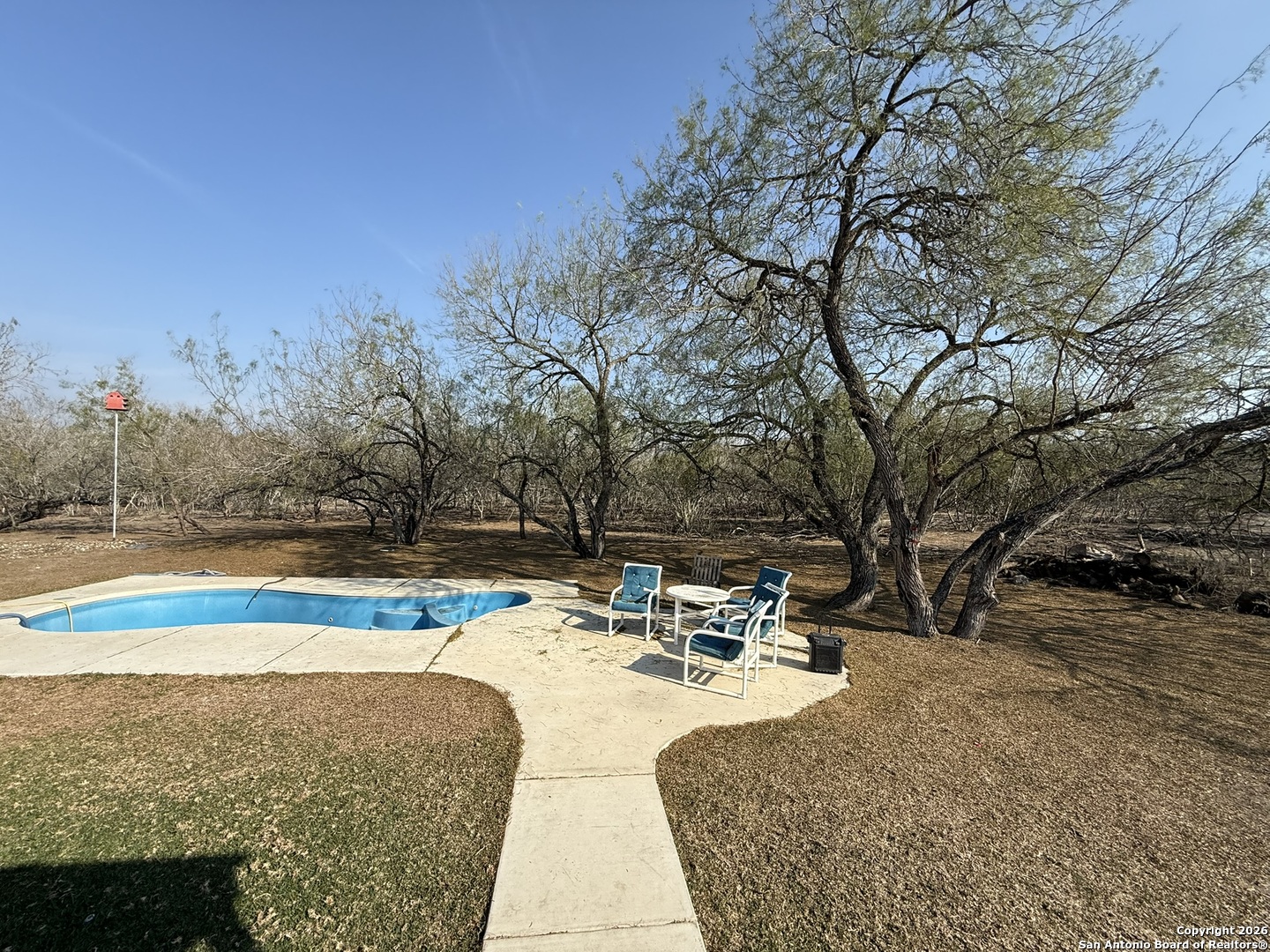 1331 Highway 281 George West, TX 78022 - Photo 6 of 14 a view of swimming pool with outdoor seating and trees in the background