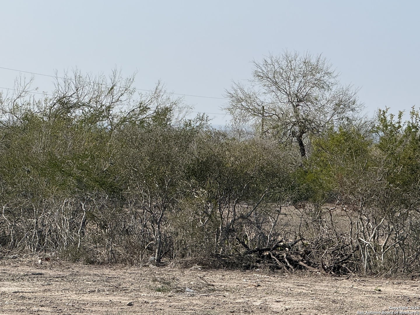 1331 Highway 281 George West, TX 78022 - Photo 10 of 14 a view of a dry yard with trees