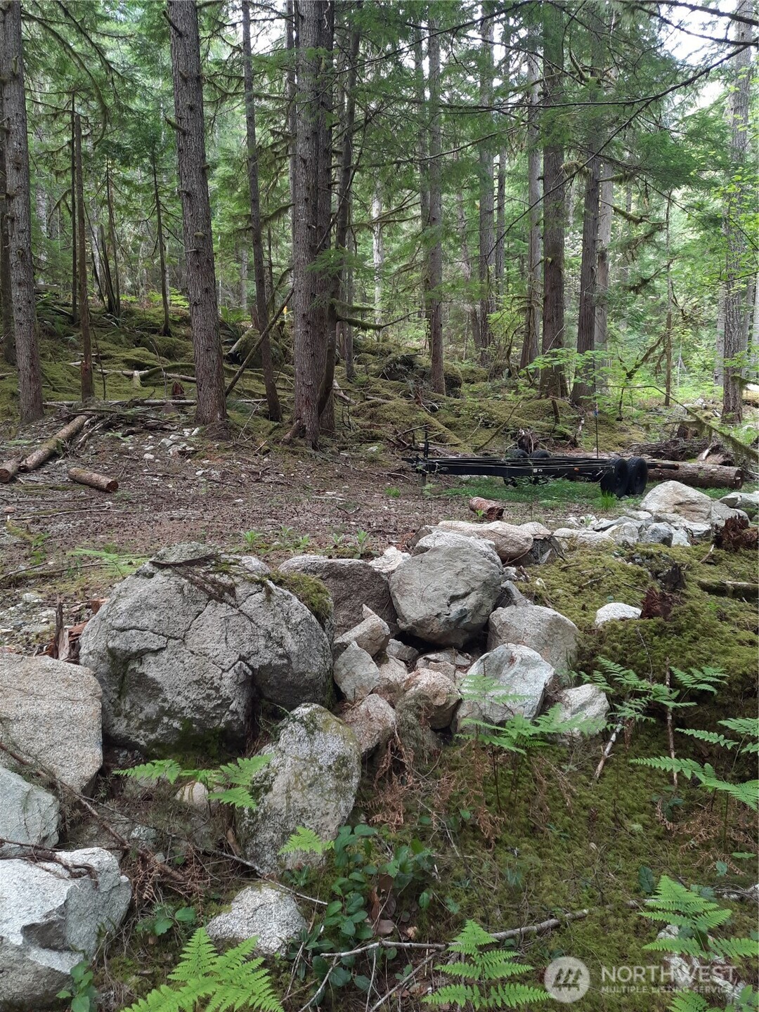 0 Cascade River Road Marblemount, WA 98267 - Photo 5 of 10 Gallery Image 5