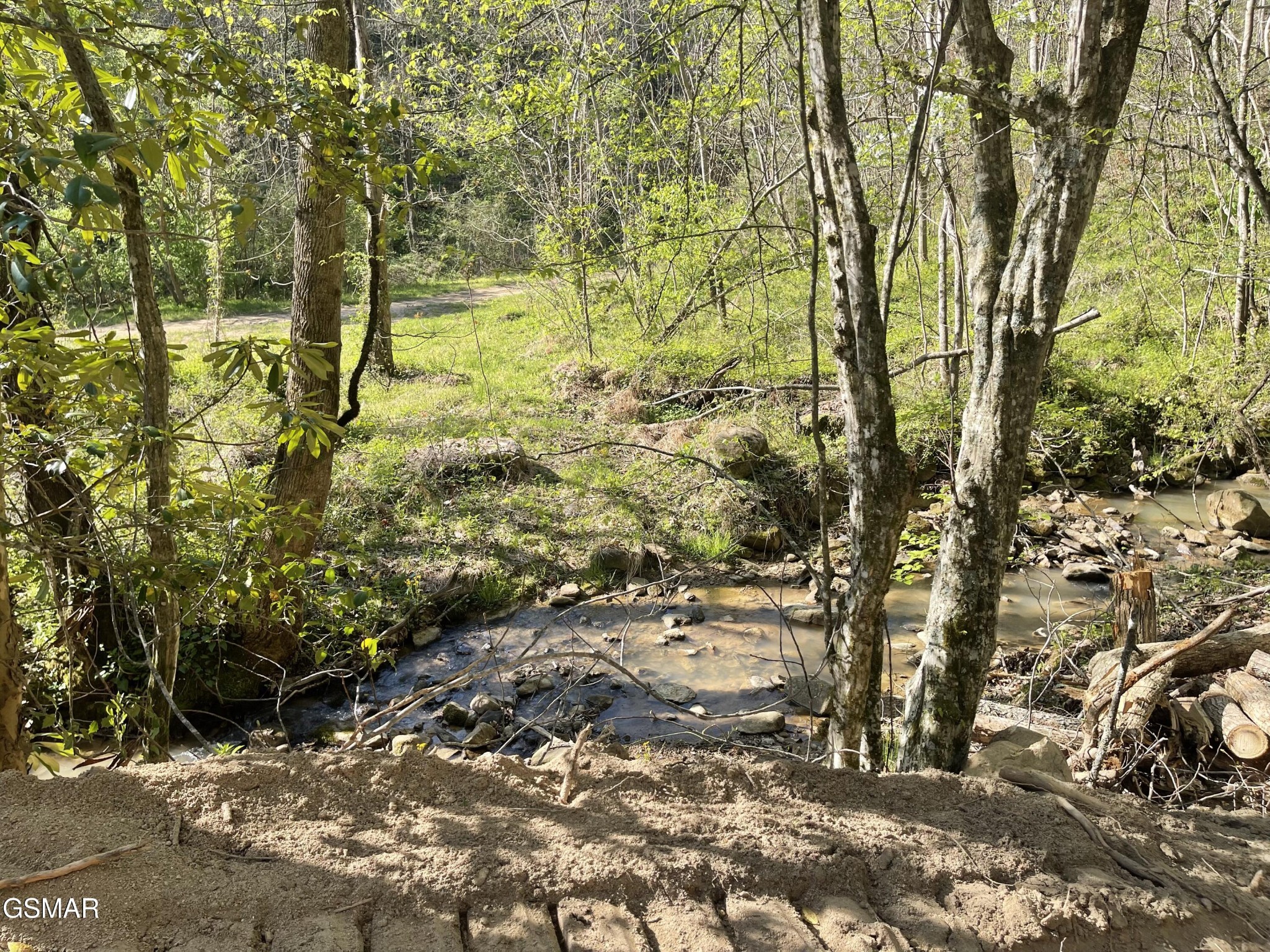 1120 Yellow Springs Road Cosby, TN 37722 - Photo 19 of 23 Gallery Image 19