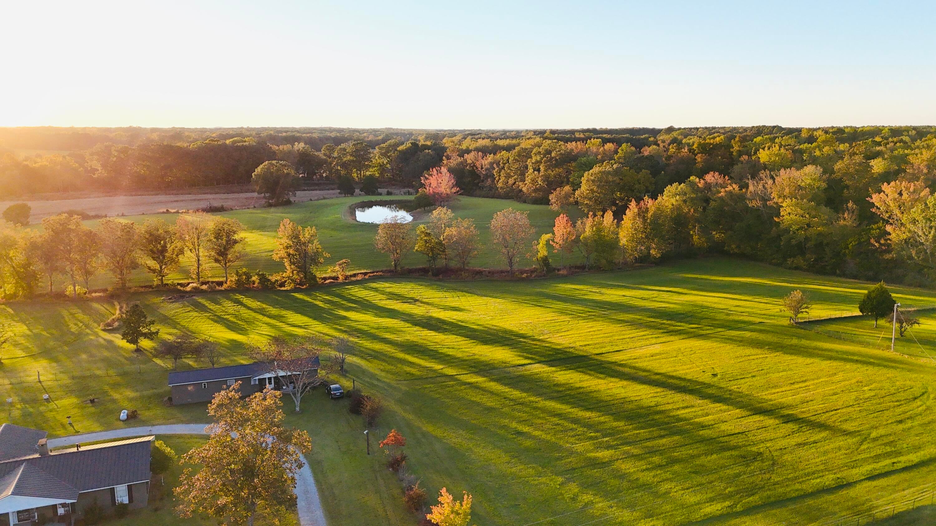 516 Cr Rienzi Ms 38865 Rienzi, MS 38865 - Photo 14 of 21 Overview(3)