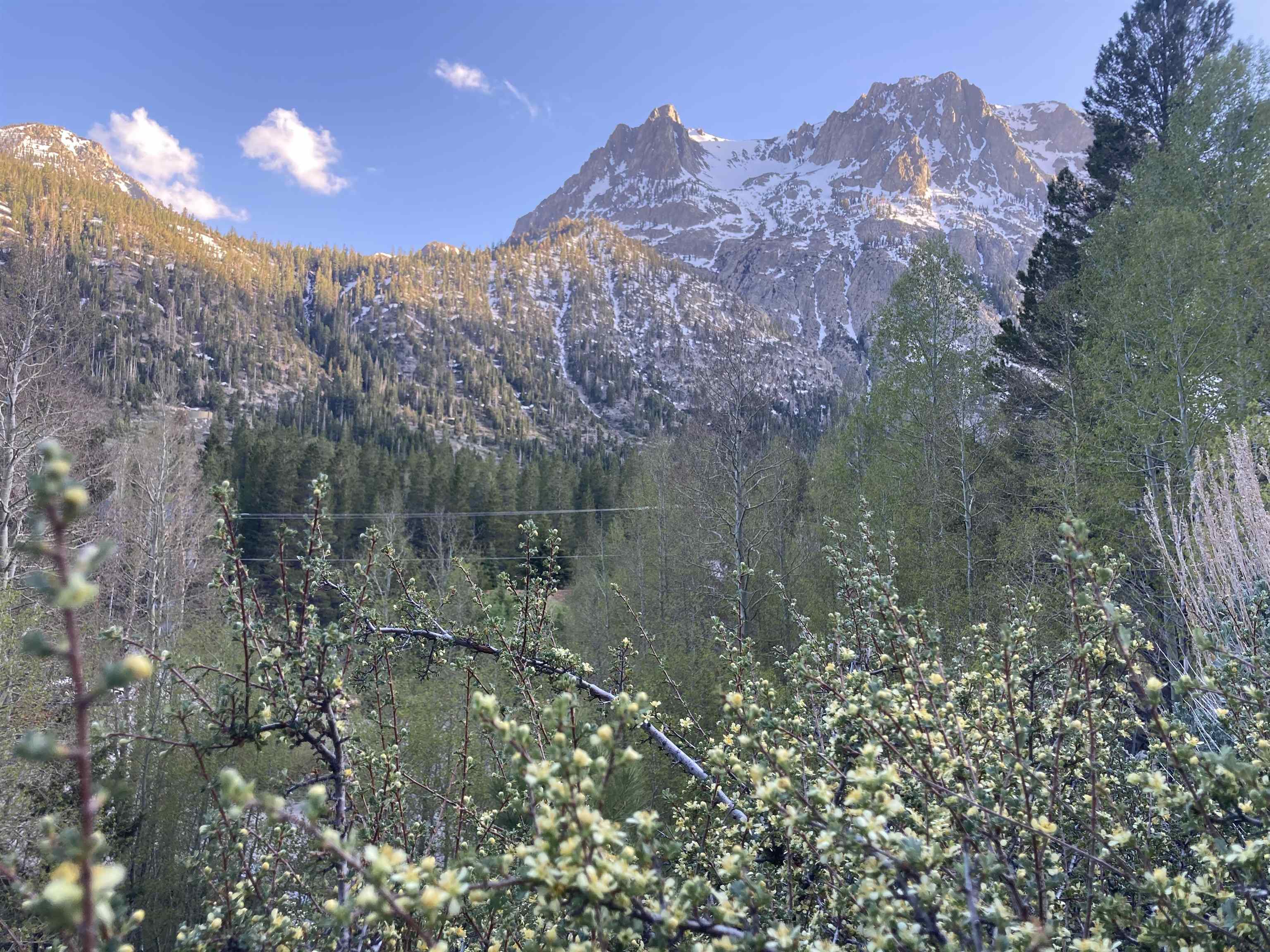 Unassigned Carson Street June Lake, CA 93529 - Photo 8 of 28