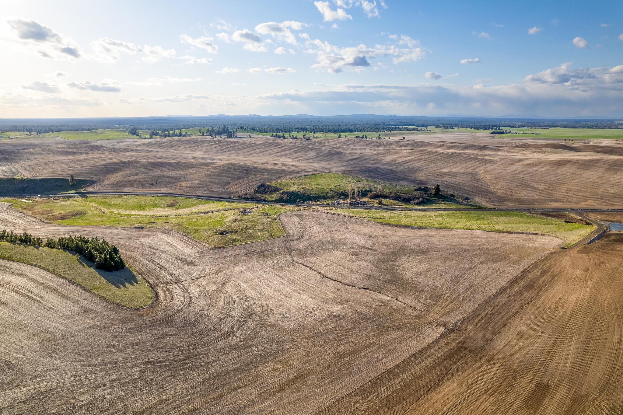 Lot 2 East Cheney-Spangle Road, Unit PARCEL 32085 9041 Spangle, WA 99031 - Photo 6 of 28