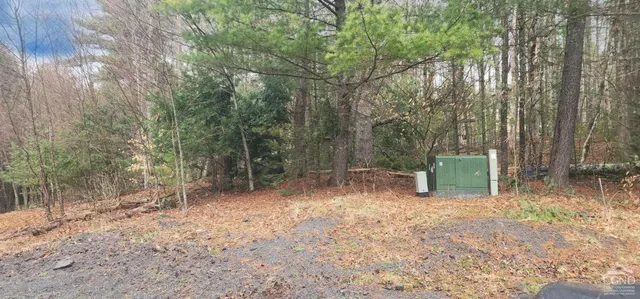 $79,500 | 0 Deer Valley Road, Jewett, NY 12444