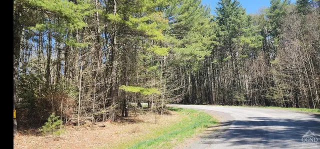 $79,500 | 0 Deer Valley Road, Jewett, NY 12444