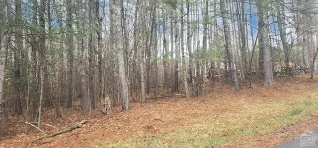 $79,500 | 0 Deer Valley Road, Jewett, NY 12444