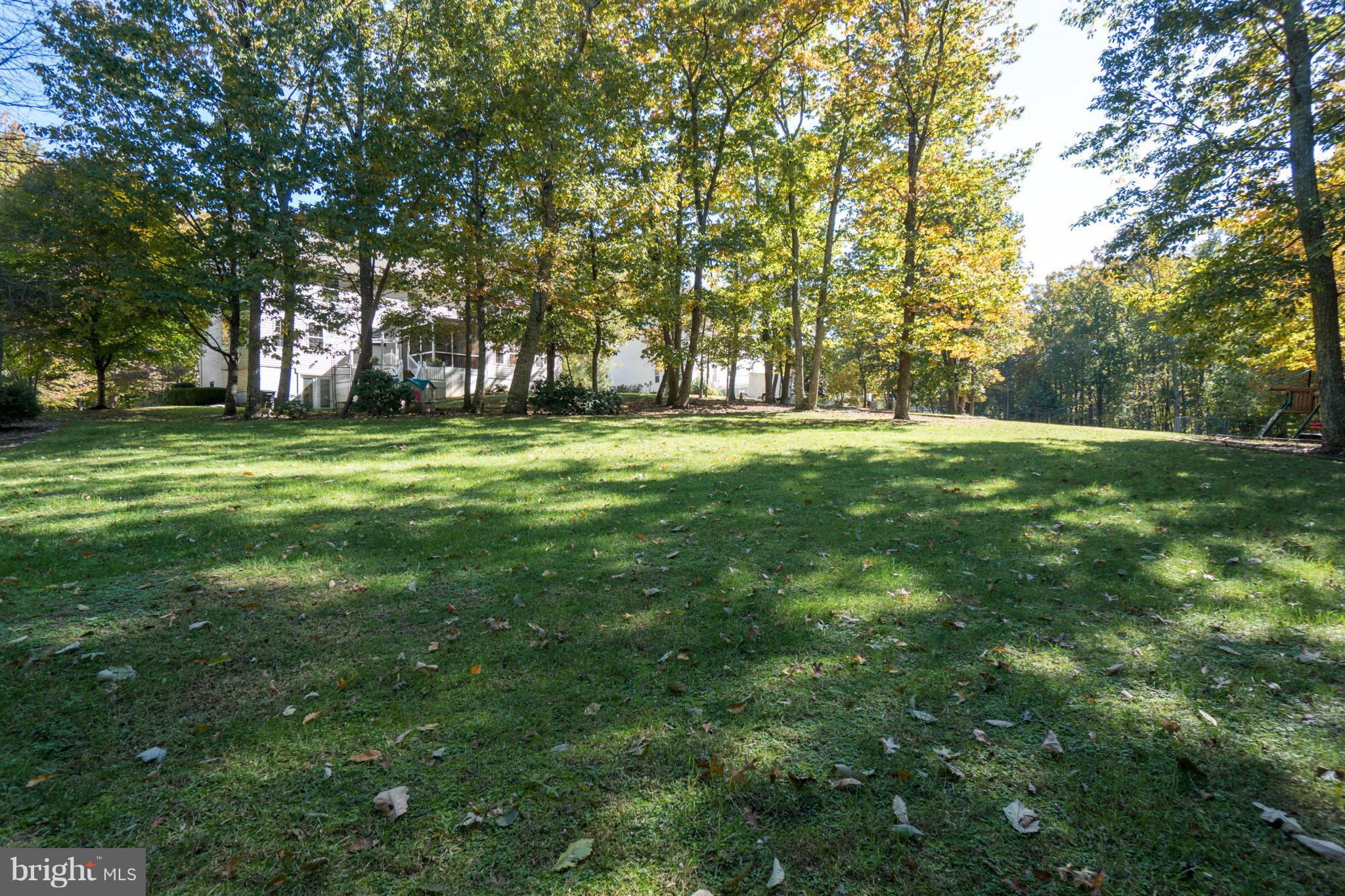218 Greenbank Road Fredericksburg, VA 22406 - Photo 3 of 20 a big yard with lots of green space and trees