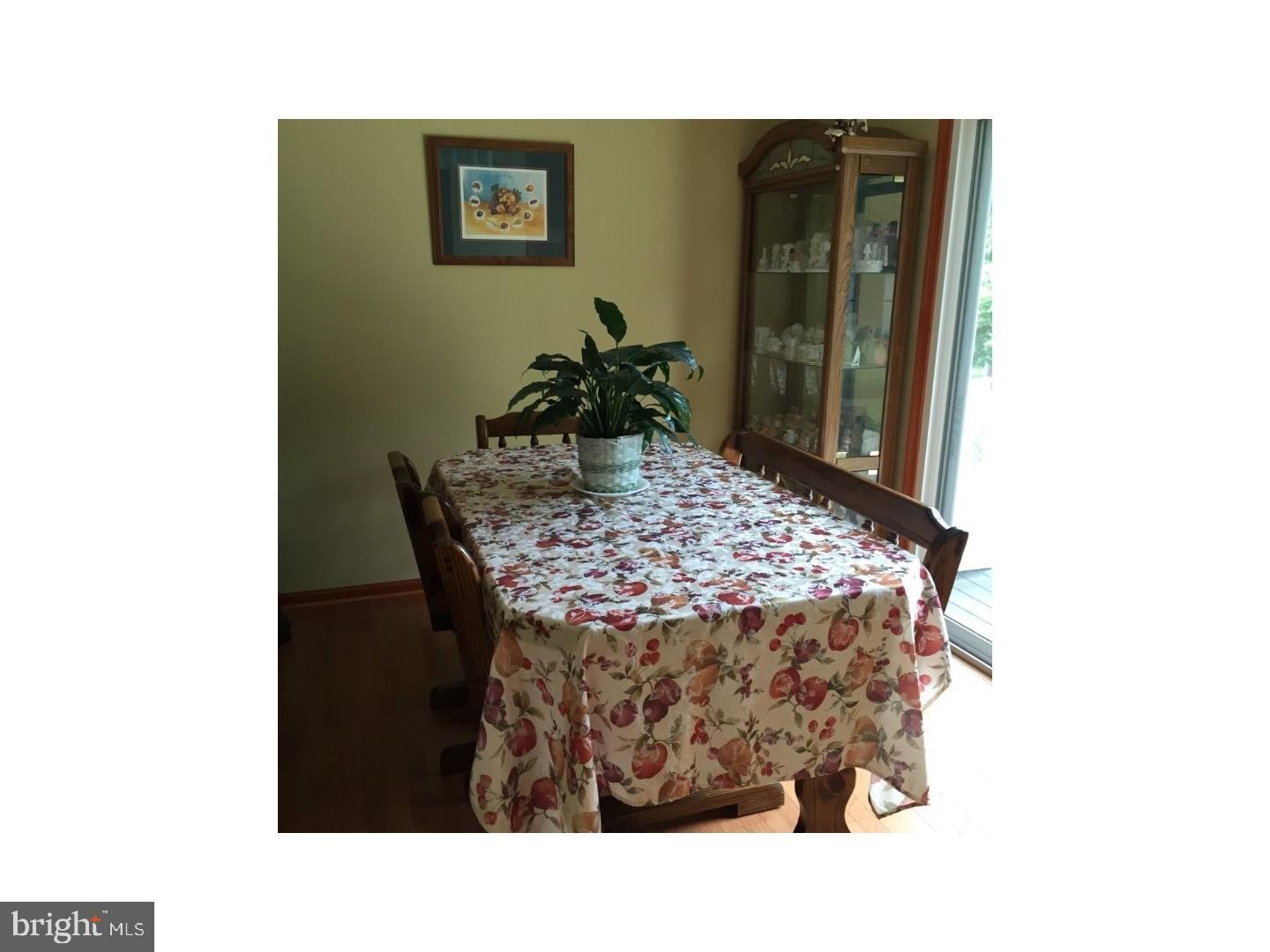 19 College Avenue Glassboro, NJ 08028 - Photo 9 of 12 a living room with a couch and a potted plant