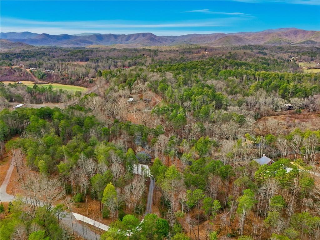 107 Cool Crk Trail Epworth, GA 30541 - Photo 68 of 73