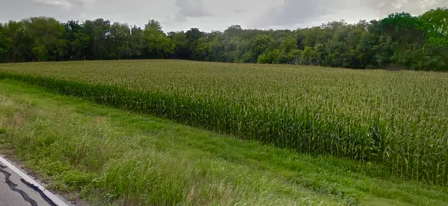 a view of a lush green field