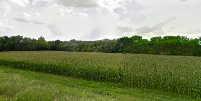 an aerial view of a residential houses with outdoor space