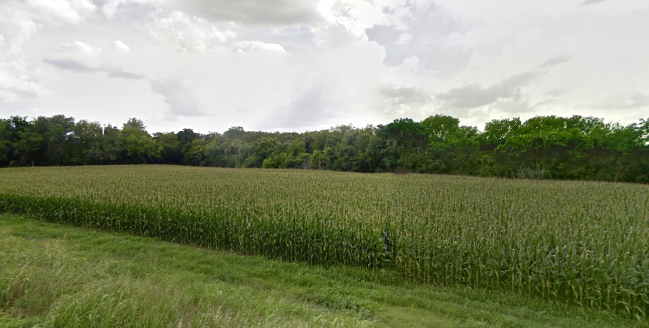 4400 State Highway 95 Granger, TX 76530 - Photo 4 of 6 a view of a lush green field