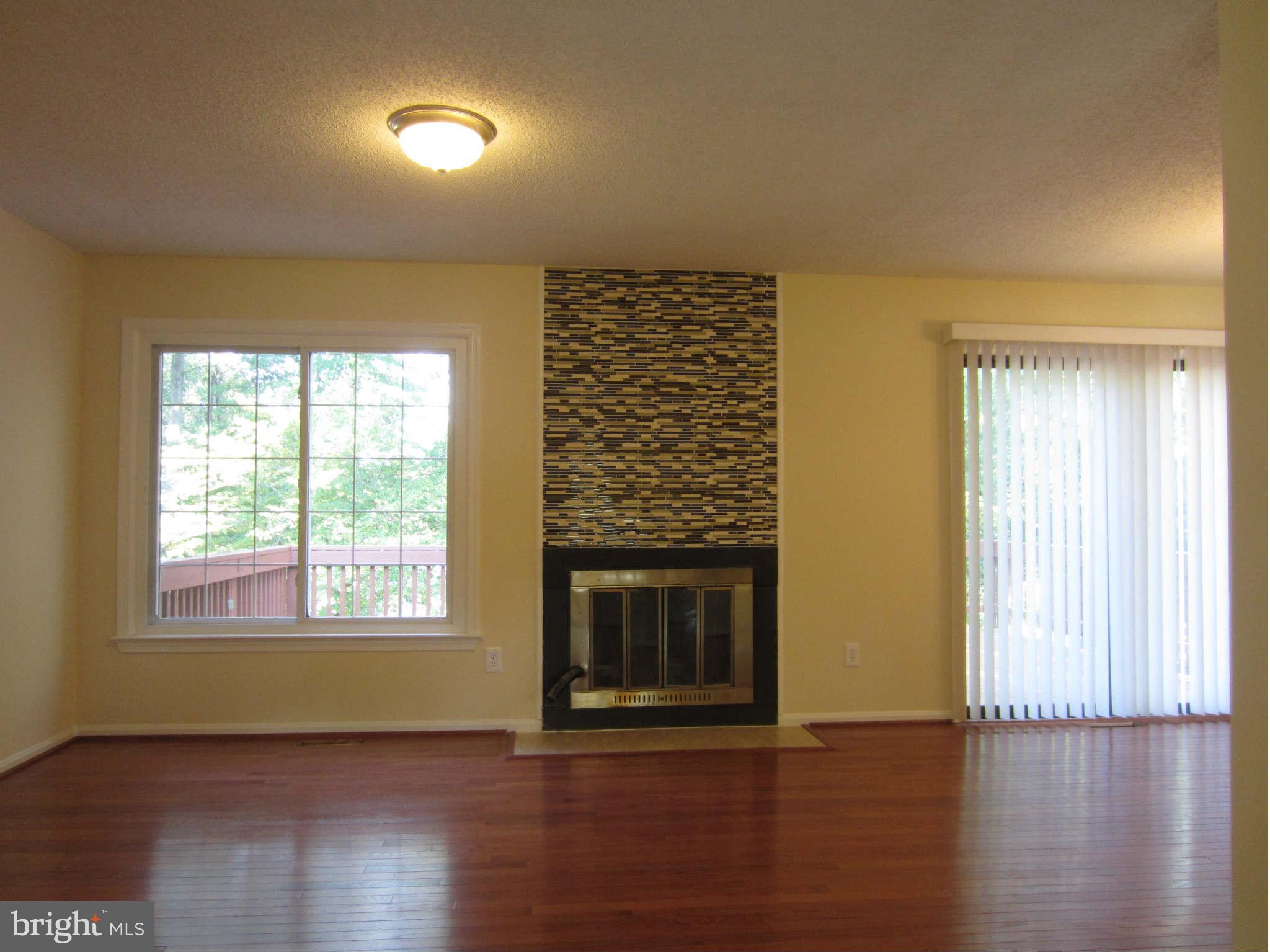 12016 Pierce Road Waldorf, MD 20601 - Photo 7 of 20 Fireplace