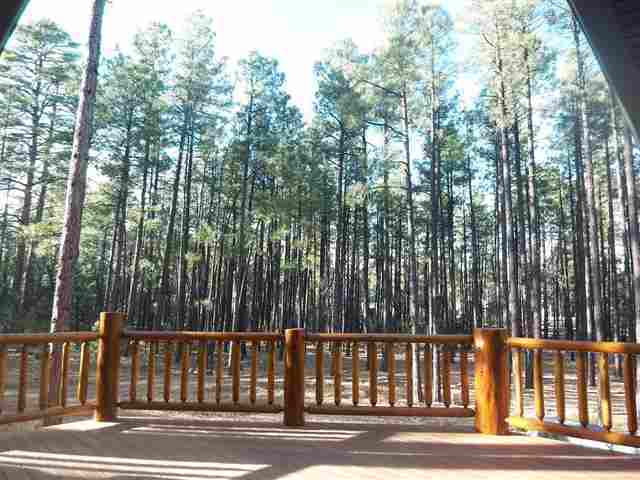 917 Rim Spur Circle Lakeside, AZ 85929 - Photo 5 of 5 Gallery Image 5