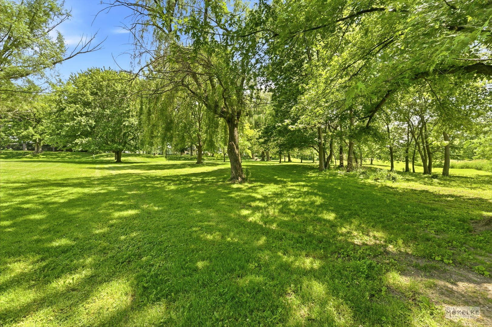 7823 Galena Road Bristol, IL 60512 - Photo 8 of 28