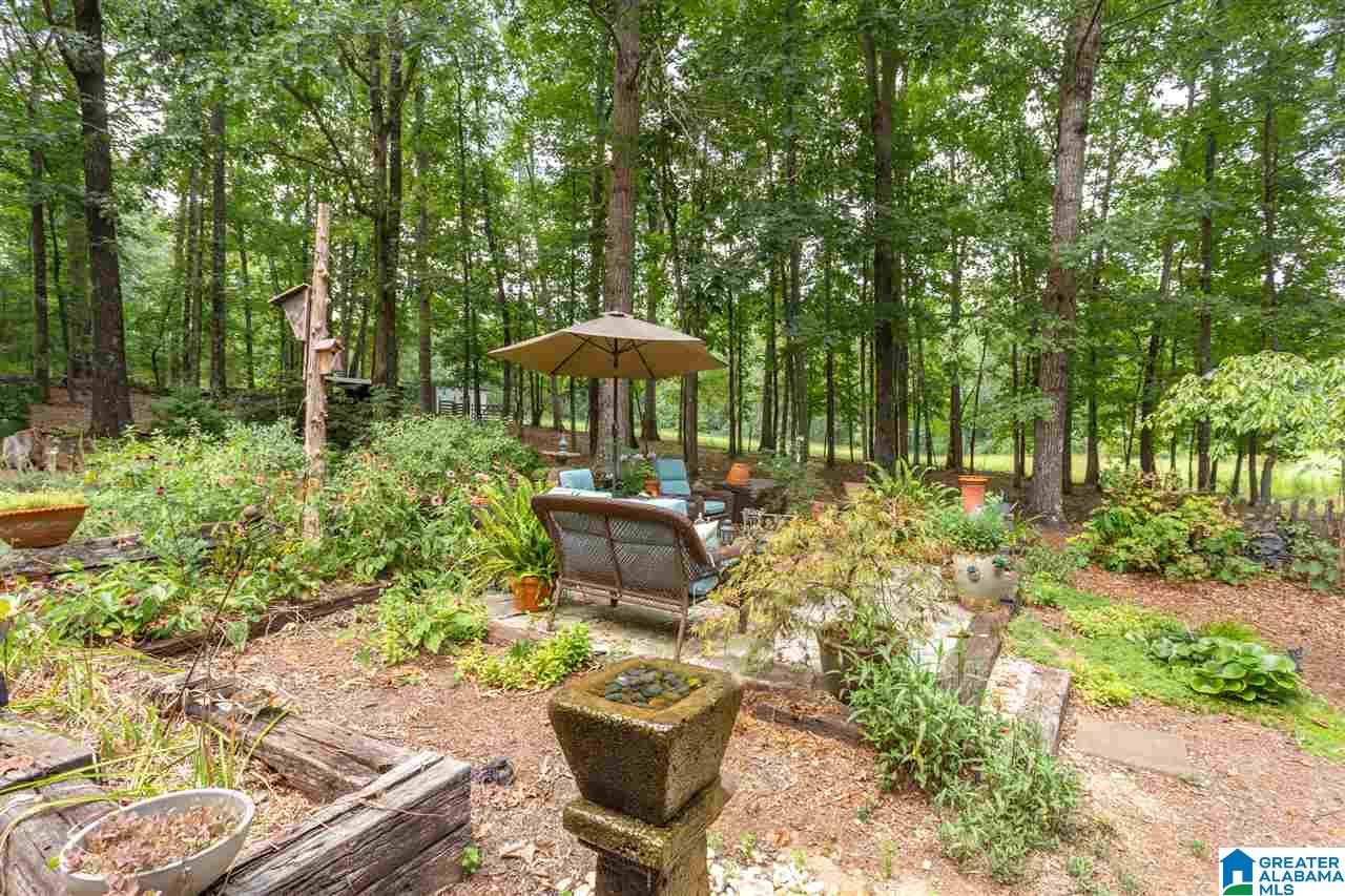 501 Eagle Bald Road Jacksonville, AL 36265 - Photo 32 of 49 Gallery Image 32