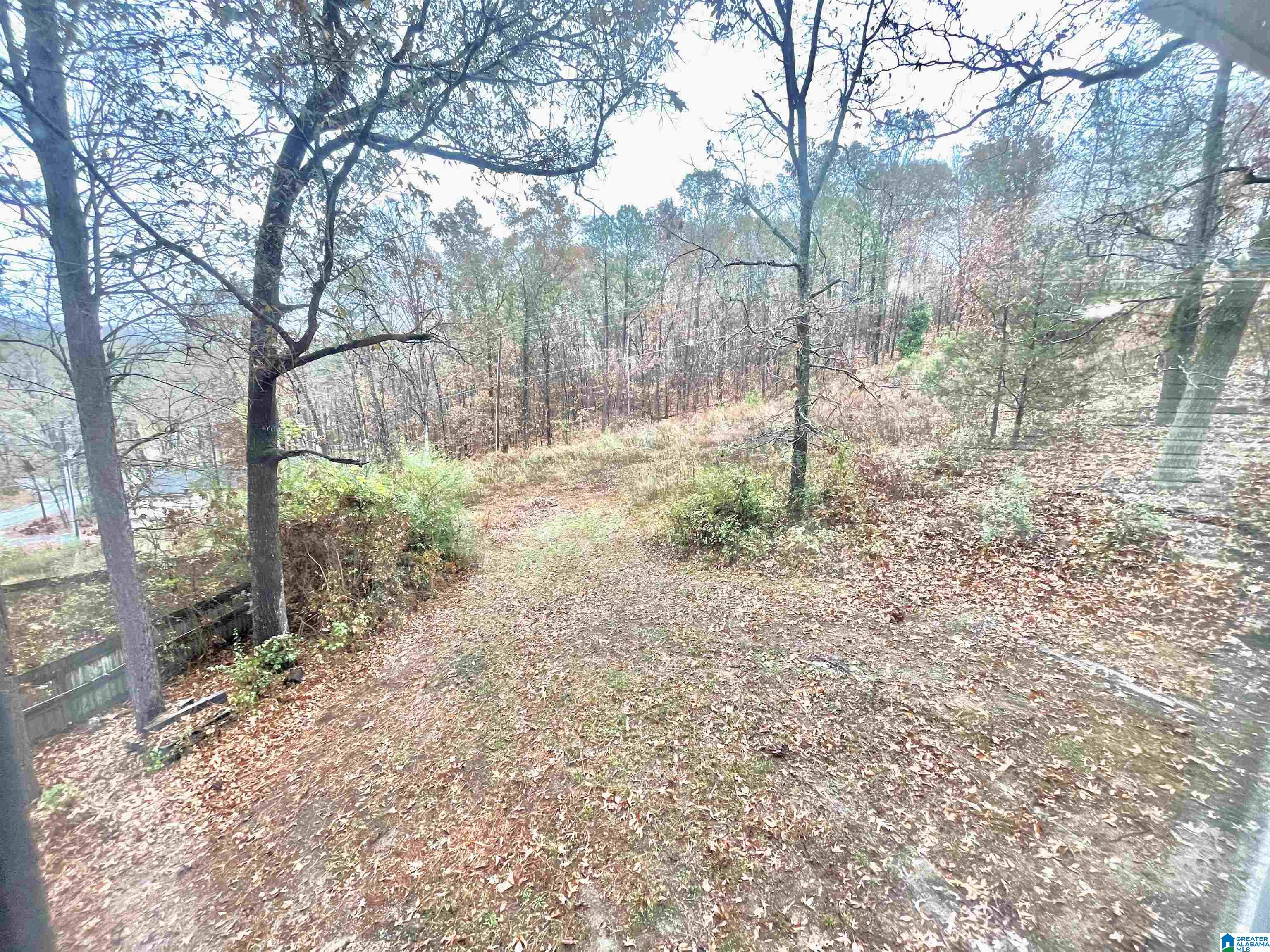 2569 Chandalar Lane Pelham, AL 35124 - Photo 3 of 77