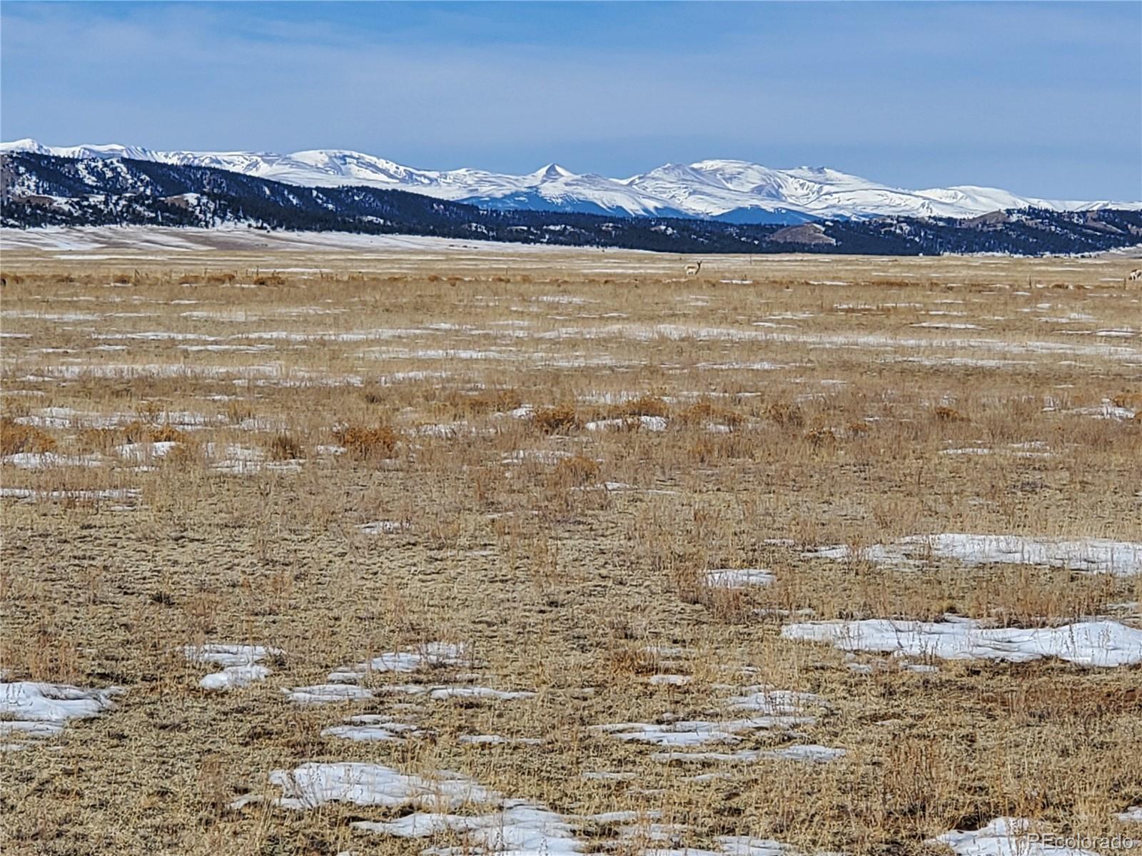 127 Montezuma Road Lake George, CO 80827 - Photo 11 of 18