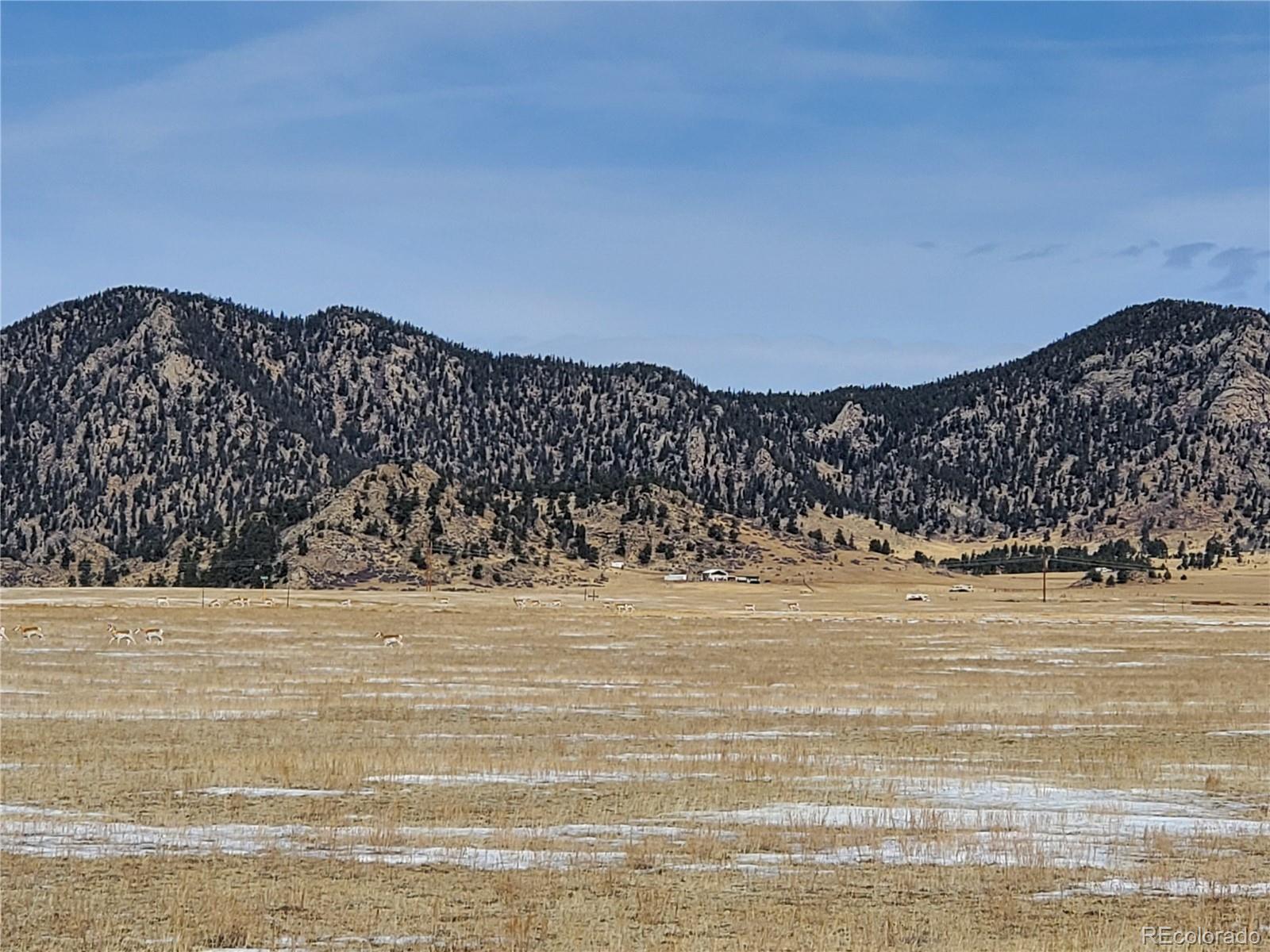 127 Montezuma Road Lake George, CO 80827 - Photo 4 of 18